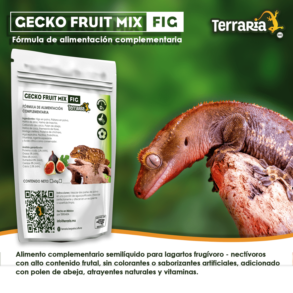 Gecko Fruit Mix Fig