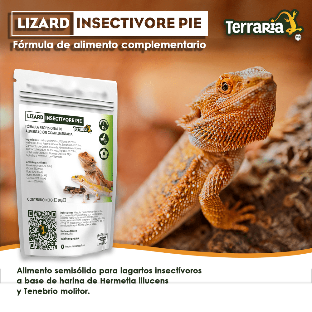 Lizard Insectivore Pie